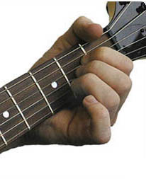http://www.guitars.ru/02/ma/img/amajor_r1_c1.jpg